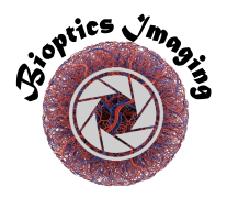 bioptics imaging logo.webp